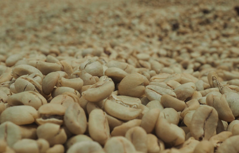 Colombia Huila Mistico Long Fermentation - *50482-2* - 25074 - GrainPro Bags - SPOT RCWHSE