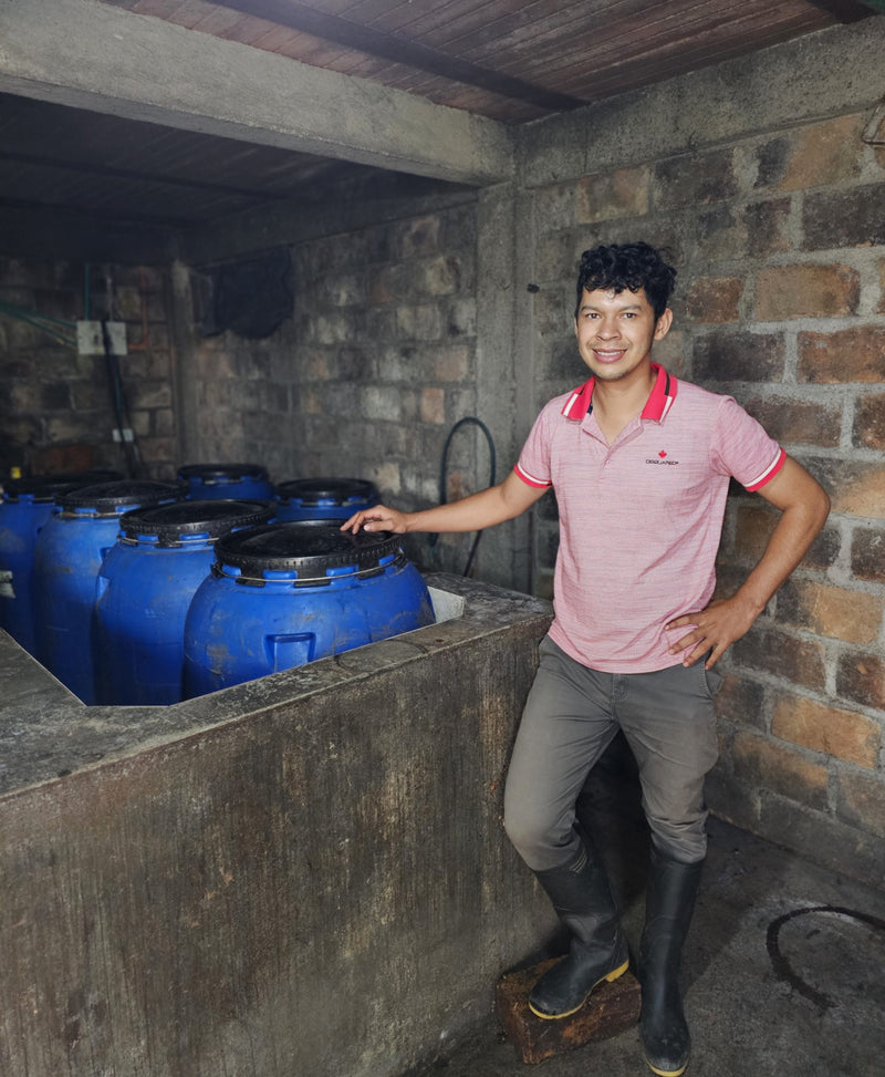 Colombia Huila Opportunity - 38500 - 69.6 kg GrainPro Bags - SPOT RCWHSE