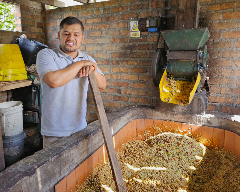 Colombia Huila Opportunity - 38500 - 69.6 kg GrainPro Bags - SPOT RCWHSE