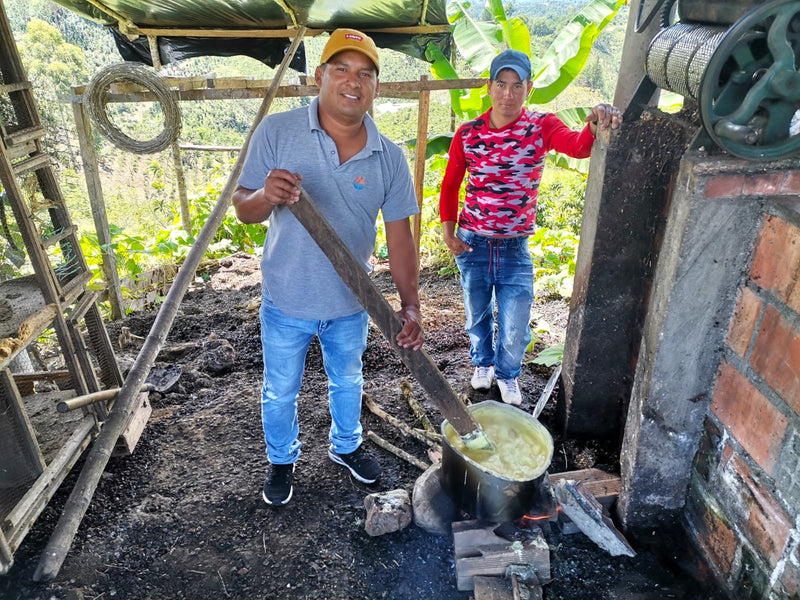Colombia Huila Pacamara - 30684 - GrainPro Bags - SPOT RCWHSE