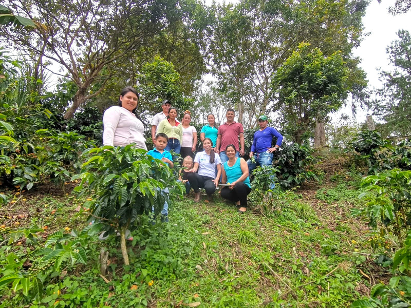 Colombia Huila Pacamara - 30684 - GrainPro Bags - SPOT RCWHSE