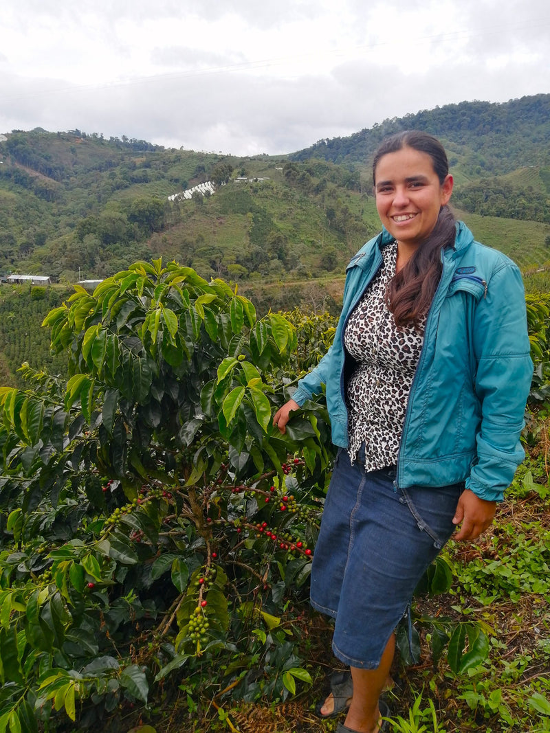 Colombia Huila Palo De Rosa Pink Bourbon - 29722 - 70.2 kg GrainPro Bags - SPOT RCWHSE