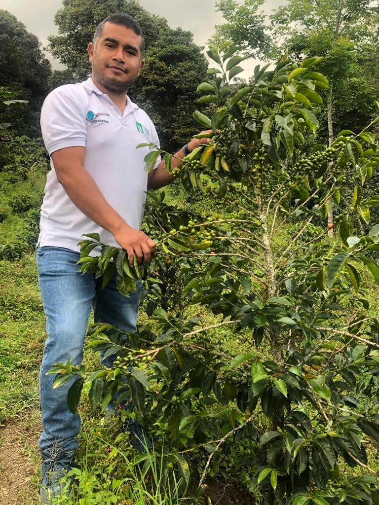 Colombia Huila Palo De Rosa Pink Bourbon - 32422 - 70.2 kg GrainPro Bags - SPOT RCWHSE