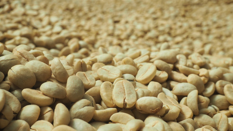 Colombia Huila Palo De Rosa Pink Bourbon - 32422 - 70.2 kg GrainPro Bags - SPOT RCWHSE