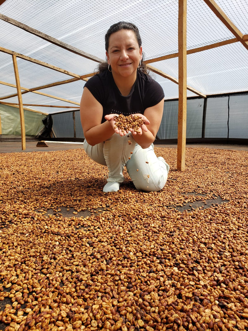 Colombia Huila Pink Bourbon Honey - 40785 - 69.5 kg GrainPro Bags - ETA: Sep 22, 2026 - RCWHSE