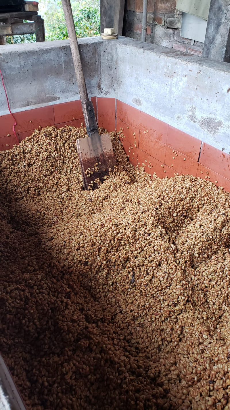 Colombia Huila Pink Bourbon Honey - 40785 - 69.5 kg GrainPro Bags - ETA: Sep 22, 2026 - RCWHSE