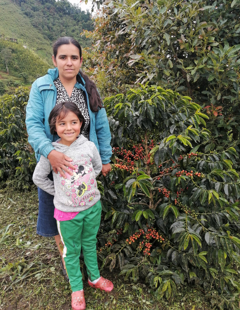Colombia Huila Pink Bourbon Natural - 35995 - 70.1 kg GrainPro Bags - SPOT RCWHSE