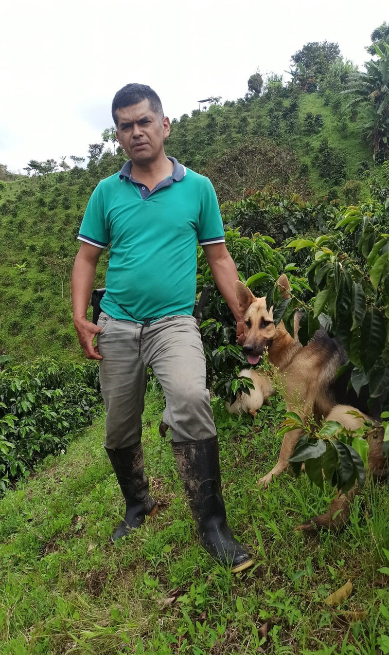Colombia Huila Pink Bourbon Natural - 40778 - 30.1 kg GrainPro Bags - SPOT SEAFORTH