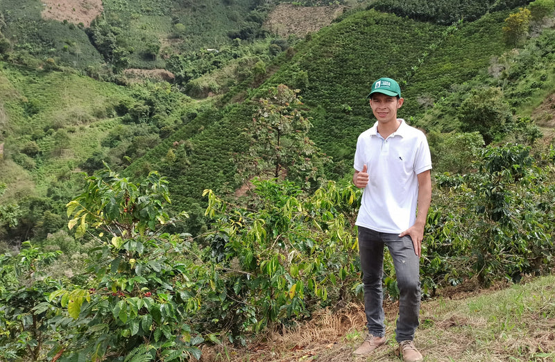 Colombia Huila Pink Bourbon Natural - 40778 - 30.1 kg GrainPro Bags - SPOT SEAFORTH