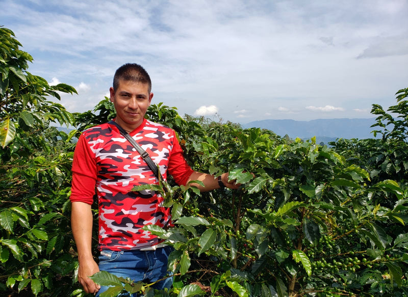 Colombia Huila Salado Blanco 78 Hour Fermentation - 29719 - 69.7 kg GrainPro Bags - SPOT RCWHSE