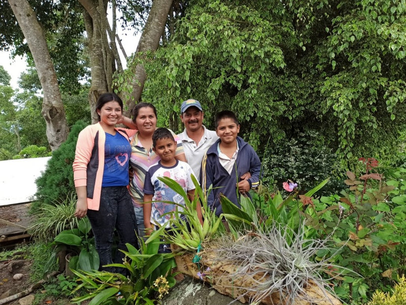 Colombia Huila San Agustin Los Naranjos - *52223* - 27781-2 - 69.9 kg GrainPro Bags - SPOT RCWHSE