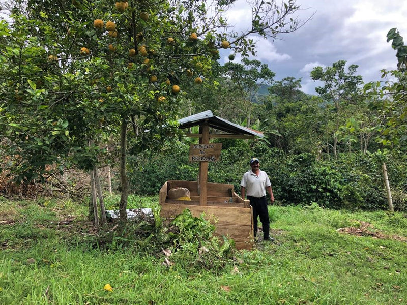 Colombia Huila San Agustin Los Naranjos - *52223* - 27781-2 - 69.9 kg GrainPro Bags - SPOT RCWHSE