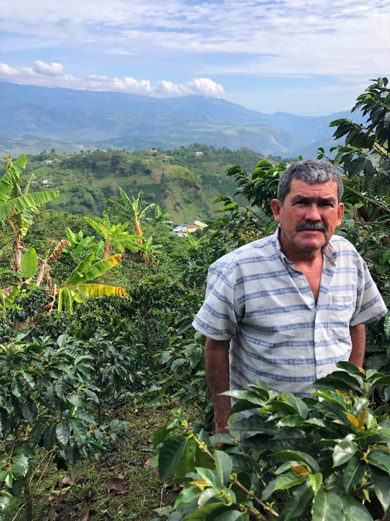 Colombia Huila San Agustin Los Naranjos - *52223* - 27781-2 - 69.9 kg GrainPro Bags - SPOT RCWHSE