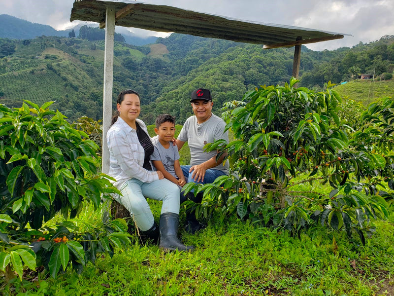 COLOMBIA ORGANIC HUILA LA TERRAZA STATE FARM LACTIC FERMENT CATURRA CHIROSO - 32705 - GrainPro Bags - SPOT RCWHSE