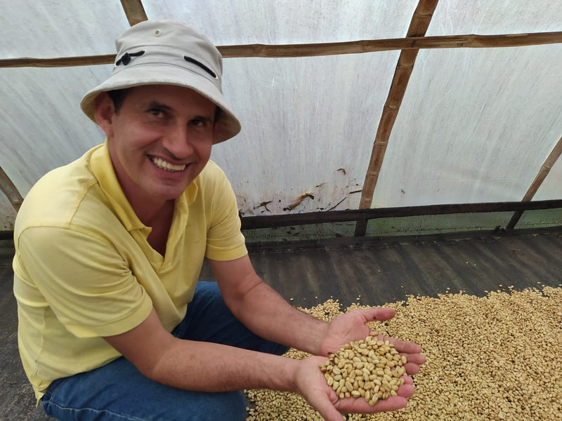 Colombia Huila Timana Castillo AA - 37928 - 69.8 kg GrainPro Bags - SPOT RCWHSE