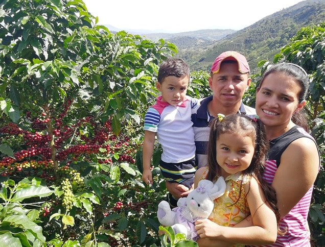 Colombia Huila Timana Women In Coffee - *50585* - 25796 - 70.1 kg GrainPro Bags - SPOT RCWHSE