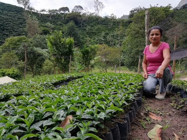 Colombia Huila Asprotimana Women's Coffee - 32431 - 69.9 kg GrainPro Bags - SPOT RCWHSE