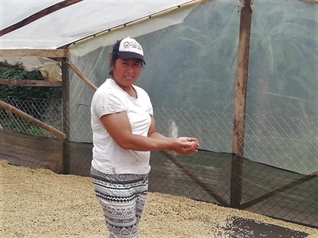 Colombia Huila Timana Women In Coffee - *50585* - 25796 - 70.1 kg GrainPro Bags - SPOT RCWHSE