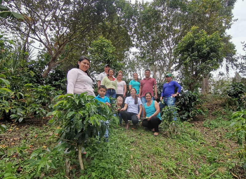 Colombia Huila Women's Coffee EP - 36011-4 - 69.6 kg GrainPro Bags - SPOT DUPUYHOU