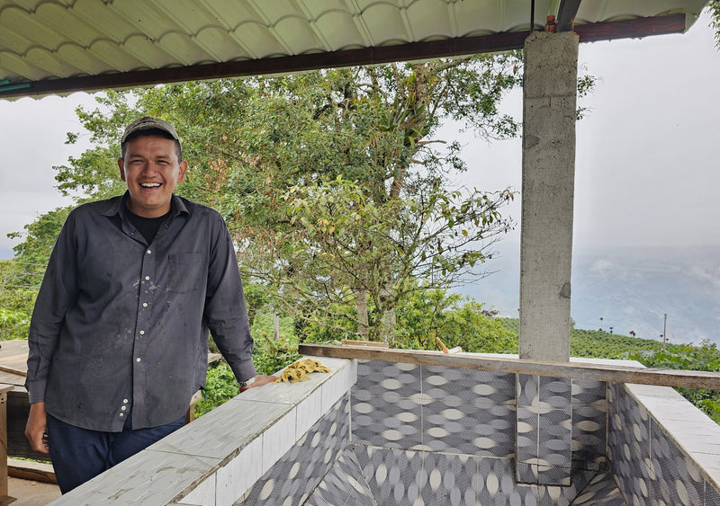 Colombia Huila Yellow Bourbon Double Fermentation - 36014-1 - 70.3 kg GrainPro Bags - SPOT COMIDWEST