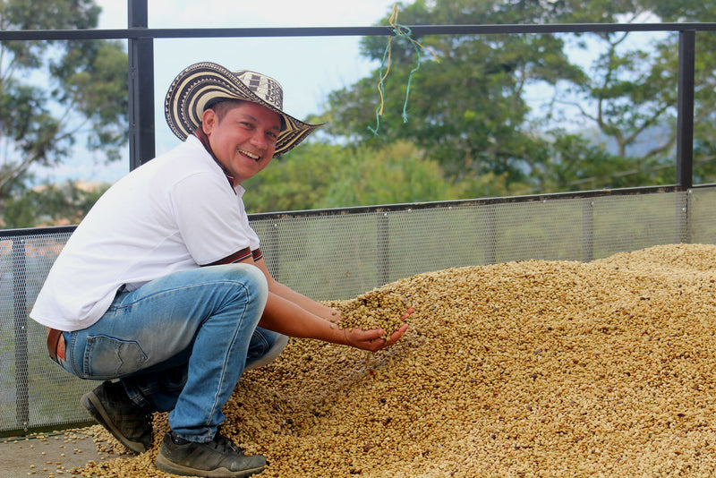 COLOMBIA ORGANIC RFA SMBC SANTANDER LA PRADERA NATURAL - *50245* - 25031 - 70.2 kg GrainPro Bags - SPOT SEAFORTH