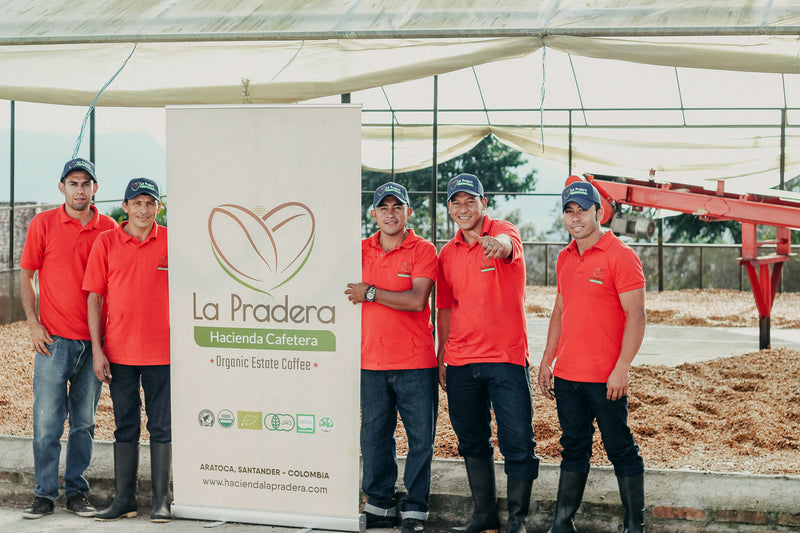 COLOMBIA ORGANIC RFA SMBC SANTANDER LA PRADERA NATURAL - *50245* - 25031 - 70.2 kg GrainPro Bags - SPOT COSEATAC