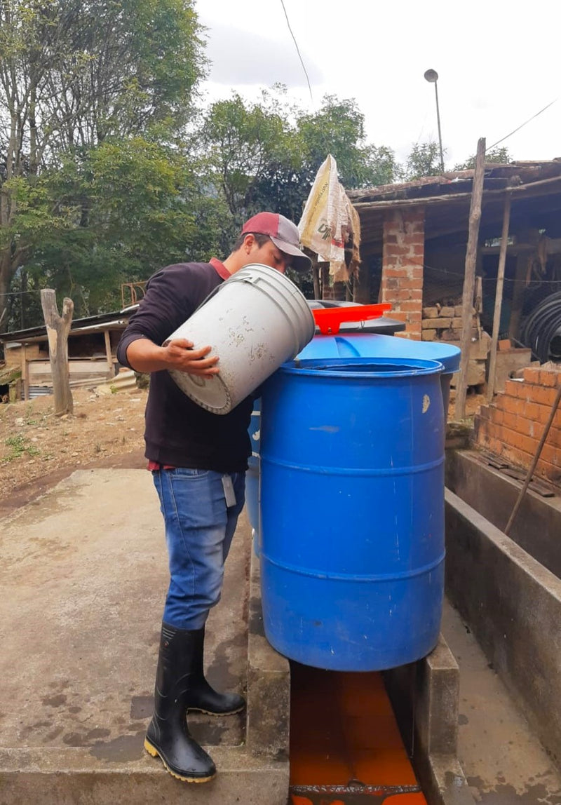 Colombia Narino Buesaco Huver Castillo Inoculated Fermentation Washed Castillo - 33514 - 35.8 kg GrainPro Bags - SPOT RCWHSE