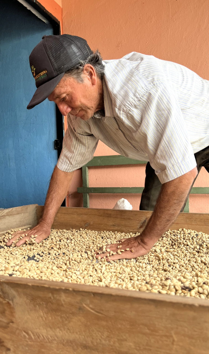 Colombia Narino Epico - 36005-1 - 70.2 kg GrainPro Bags - SPOT COMIDWEST