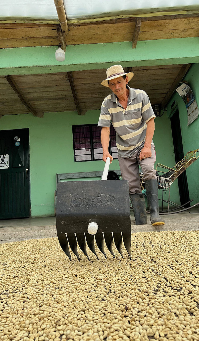 Colombia Narino Epico - 36005 - 70.2 kg GrainPro Bags - SPOT RCWHSE