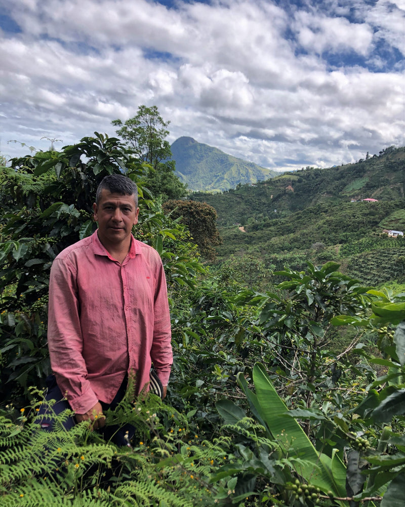 Colombia Nariño El Rosal - 30681 - 70.3 kg GrainPro Bags - SPOT RCWHSE