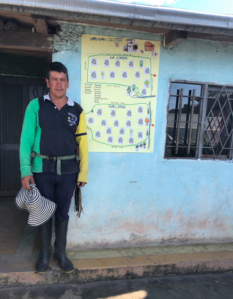 Colombia Nariño El Rosal - 30681 - 70.3 kg GrainPro Bags - SPOT RCWHSE