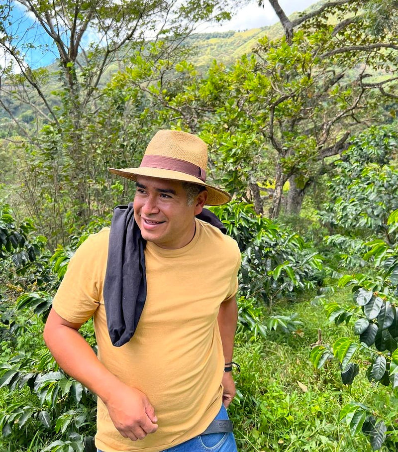 Colombia Narino Los Guayacanes Chiroso - 38505 - 69.2 kg GrainPro Bags - SPOT RCWHSE