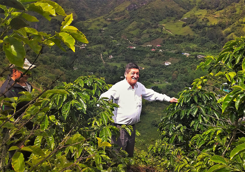 Colombia Narino San Pablo A - Lot 384 - 34782 - 70.1 kg GrainPro Bags - SPOT RCWHSE
