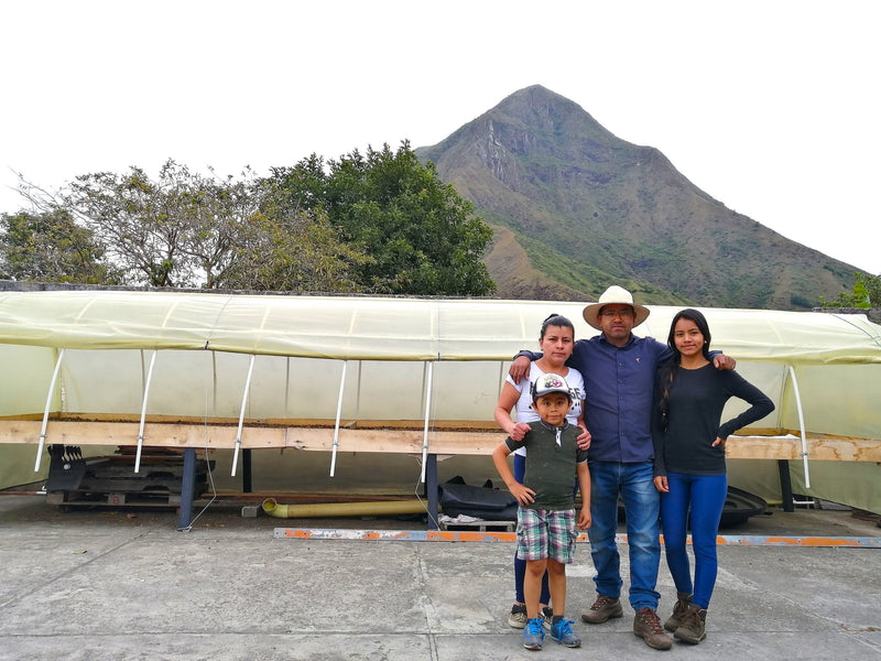 Colombia Narino San Pablo A - Lot 384 - 34782 - 70.1 kg GrainPro Bags - SPOT RCWHSE