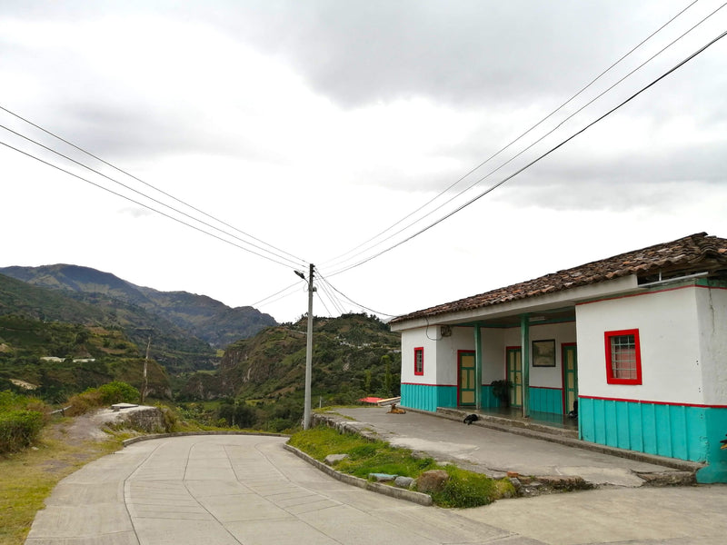 Colombia Narino San Pablo A - Lot 384 - 34782 - 70.1 kg GrainPro Bags - SPOT RCWHSE