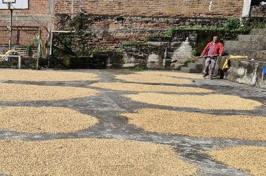 Colombia Narino Santa Fe - 36004 - 69.5 kg GrainPro Bags - SPOT RCWHSE