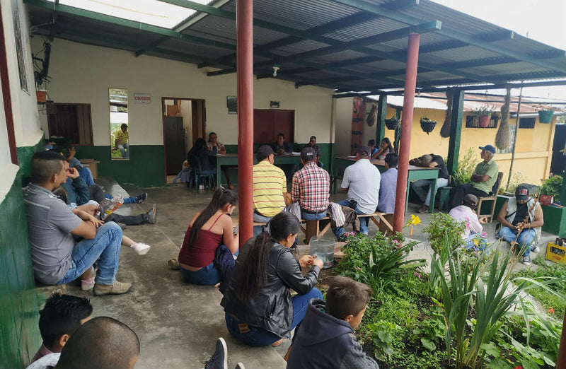 COLOMBIA ORGANIC TOLIMA BOSQUE GALILEA EP - *51338* - 25091 - 69.9 kg GrainPro Bags - SPOT RCWHSE