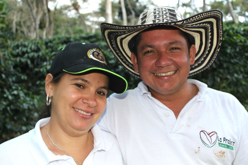 COLOMBIA ORGANIC RFA SMBC SANTANDER MANOS DE MUJER FINCA SANTA MARIA NATURAL - *47422* - 25032 - 70.1 kg GrainPro Bags - SPOT RCWHSE