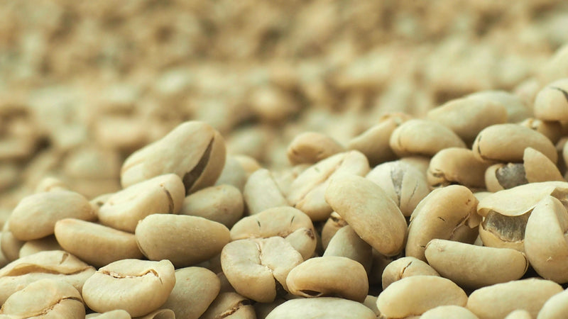 COLOMBIA FT-FLO/USA ORGANIC SIERRA NEVADA TAYRONACA - *48970W1* - 25035 - 69.9 kg GrainPro Bags - SPOT COSEATAC
