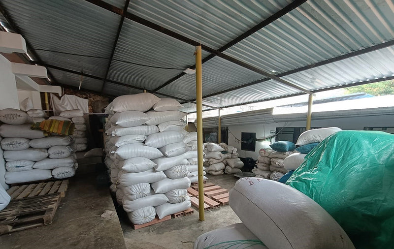 Colombia Tolima 83+ EP - 34858 - 70.0 kg Bags - SPOT SEAFORTH