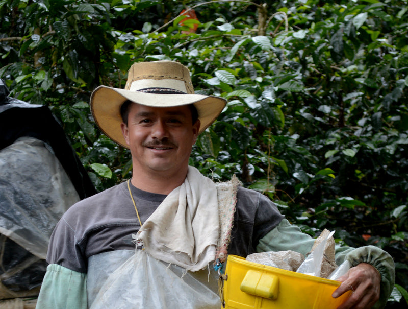 Colombia Valle Del Cauca La Esperanza Estate - *48085C* - 24965 - 70.2 kg GrainPro Bags - SPOT SHANGHAI