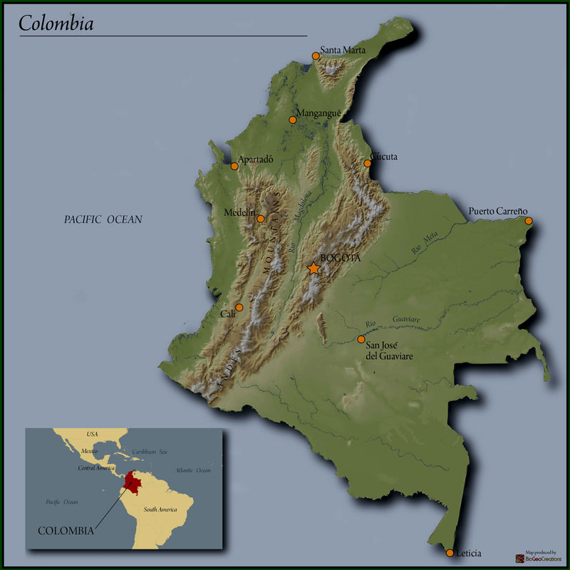 Colombia Supremo 17/18 - *51116* - 24310-2 - 70.0 kg Bags - SPOT SEAFORTH