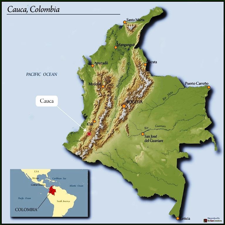Colombia Valle Del Cauca El Trujillo - 30680-1 - 70.5 kg GrainPro Bags - SPOT SEAFORTH