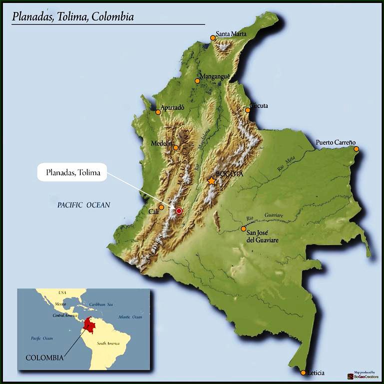 COLOMBIA ORGANIC TOLIMA PLANADAS 84+ - *49797H* - 25252 - 70.2 kg GrainPro Bags - SPOT DUPUYHOU