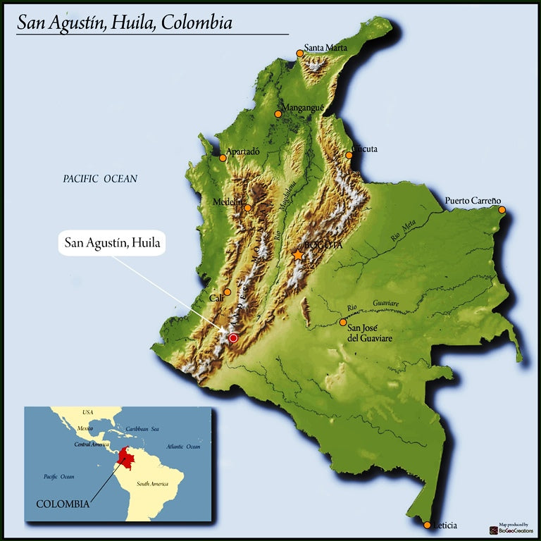 Colombia Huila Agustino Forest - 30888-1 - 70.1 kg GrainPro Bags - SPOT SEAFORTH