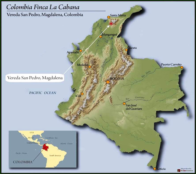 COLOMBIA ORGANIC RFA SMBC SIERRA NEVADA LA CABANA/AGROBERLIN - *52283* - 27775 - 70.0 kg Bags - SPOT RCWHSE