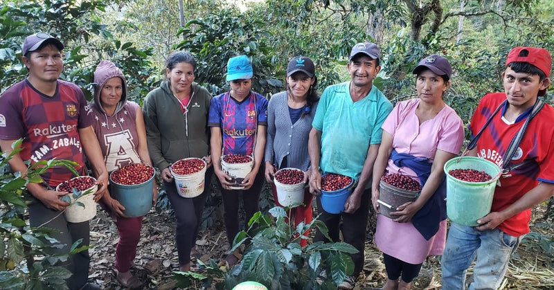 PERU FT-FLO/USA ORGANIC CAJAMARCA RUTAS DEL INCA SHG EP - 31060 - 975.2 kg Super Sack - SPOT COSEATAC