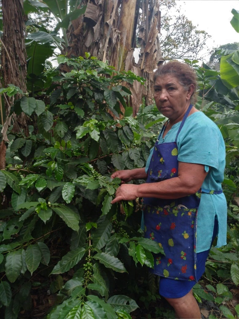 NICARAGUA FT ORGANIC SJ RIO COCO J.A.Z. - 29077 - Ecotact Bags - SPOT RCWHSE