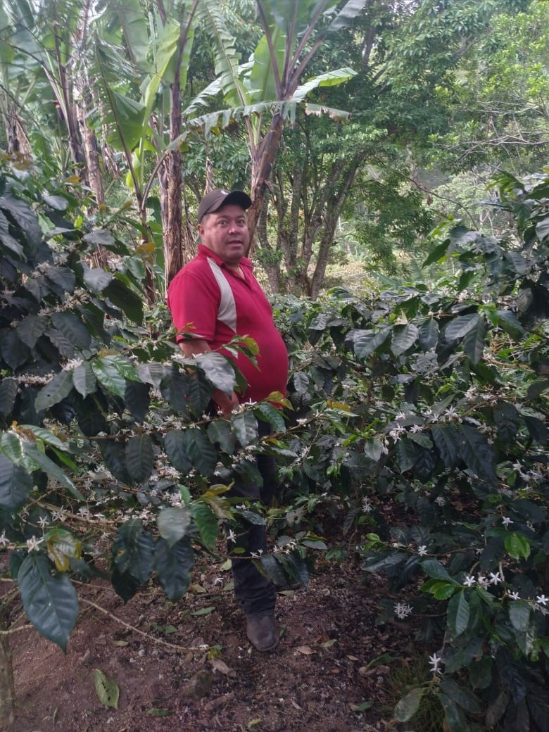 NICARAGUA FT ORGANIC SJ RIO COCO J.A.Z. - 29077 - Ecotact Bags - SPOT RCWHSE