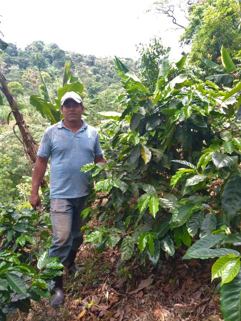 NICARAGUA FT ORGANIC SJ RIO COCO J.A.Z. - 29077 - Ecotact Bags - SPOT RCWHSE